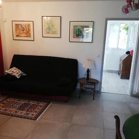 Appartement De Plain Pied Dans La Verdure Yerres Экстерьер фото